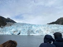 Major marine, charters, sea life, and glacier viewing so fun