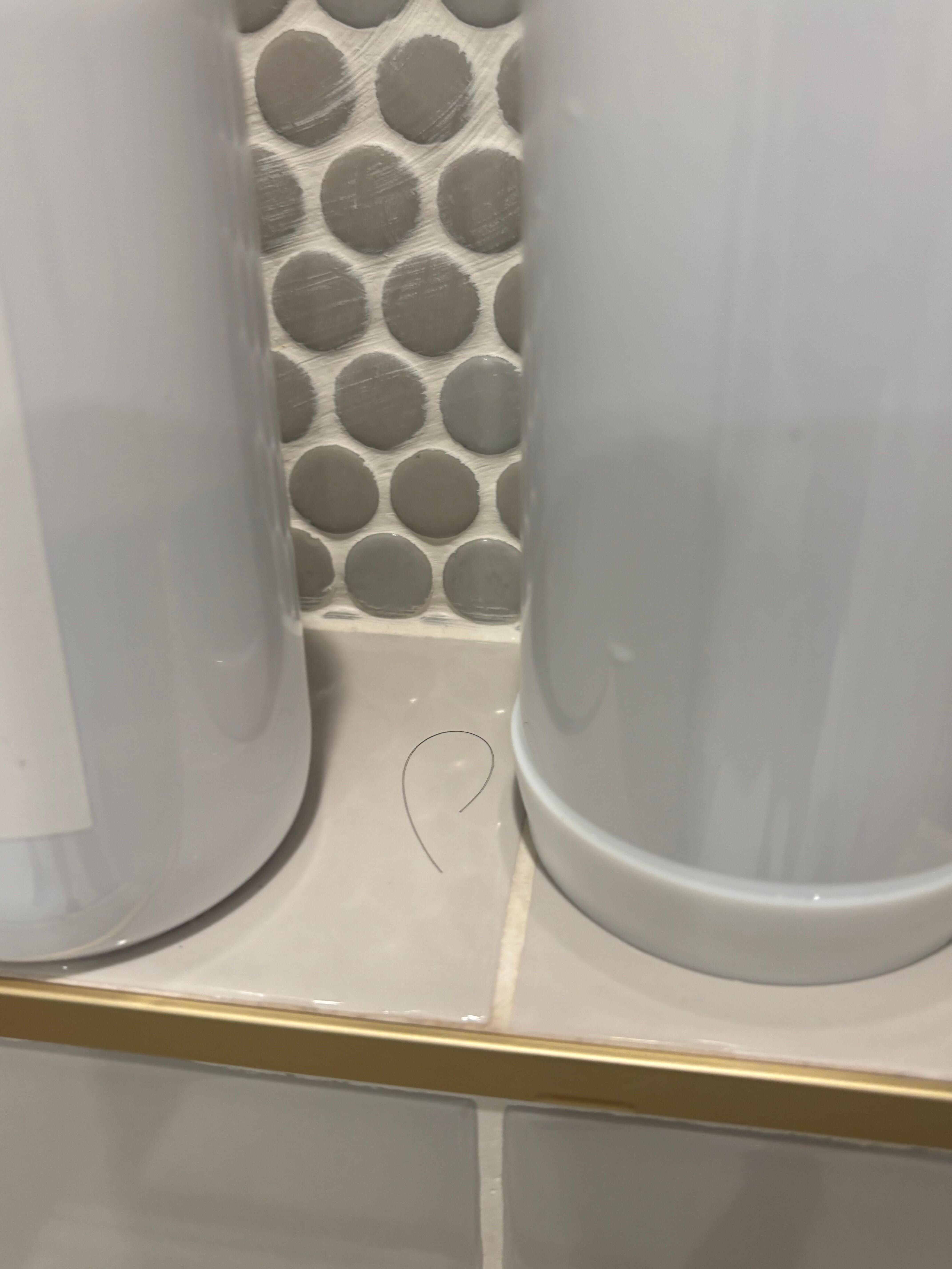 Hair in bathroom. No one in my group has hair this color