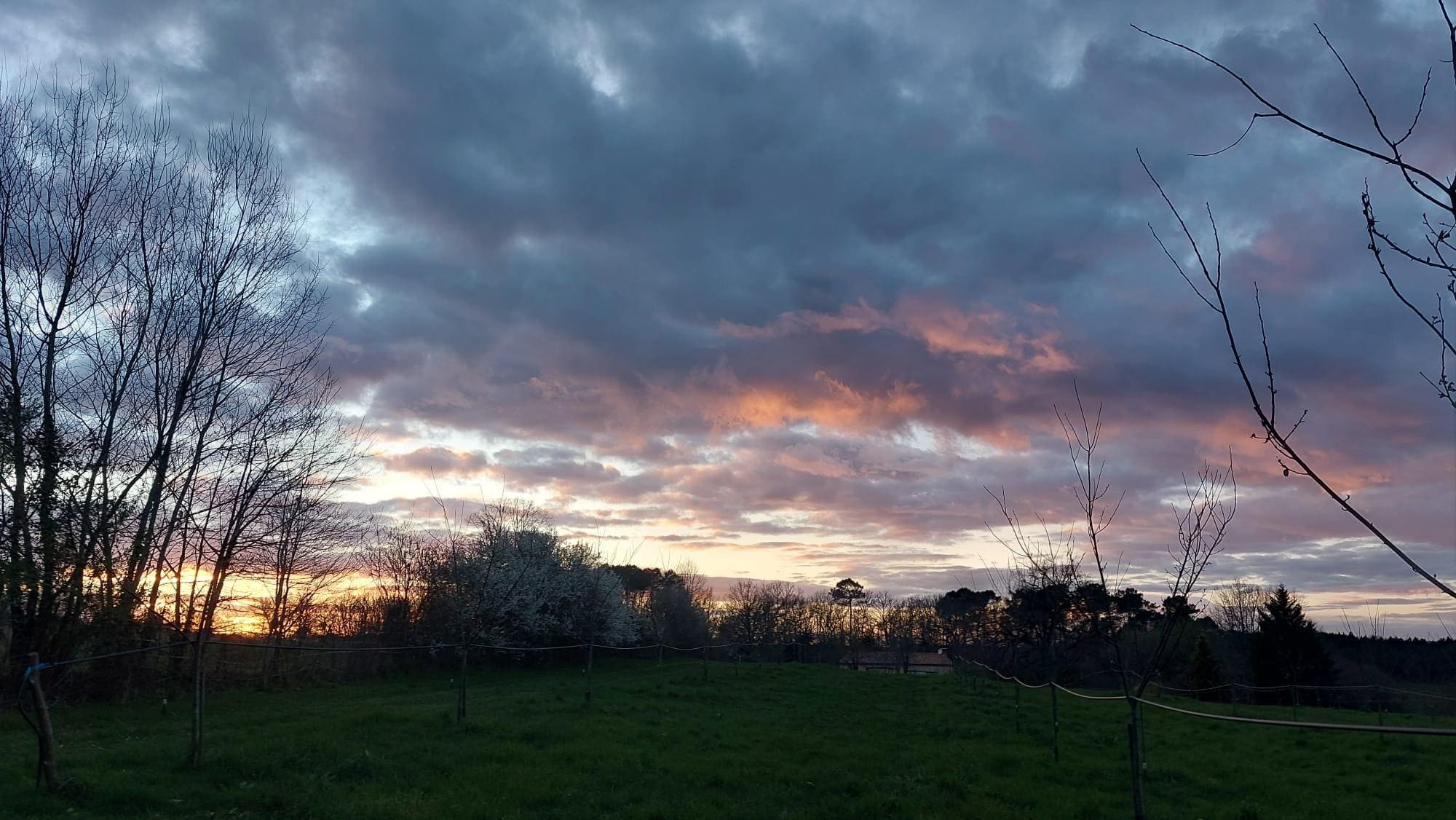Vue du jardin le soir