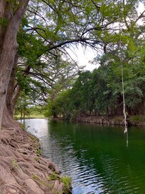 Flowing private river with rope swinging.