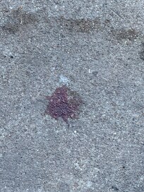 Blood on sidewalk