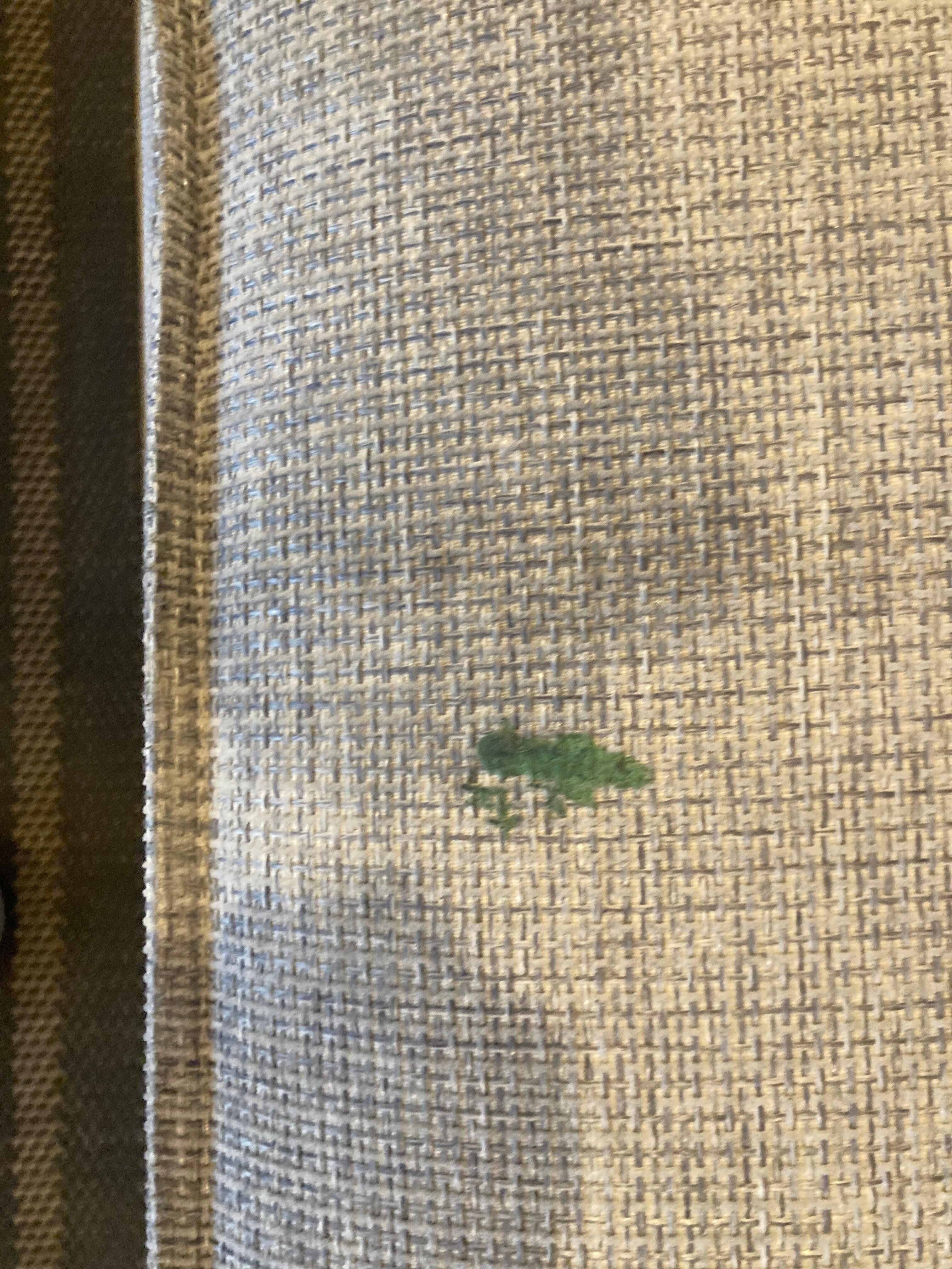Stains on sofa
