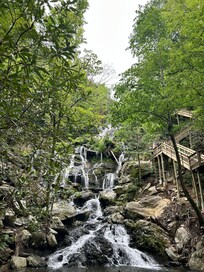 Hiked Catawba Falls with our 5 week old 🤪