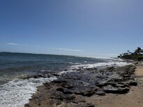 Beach area behind house