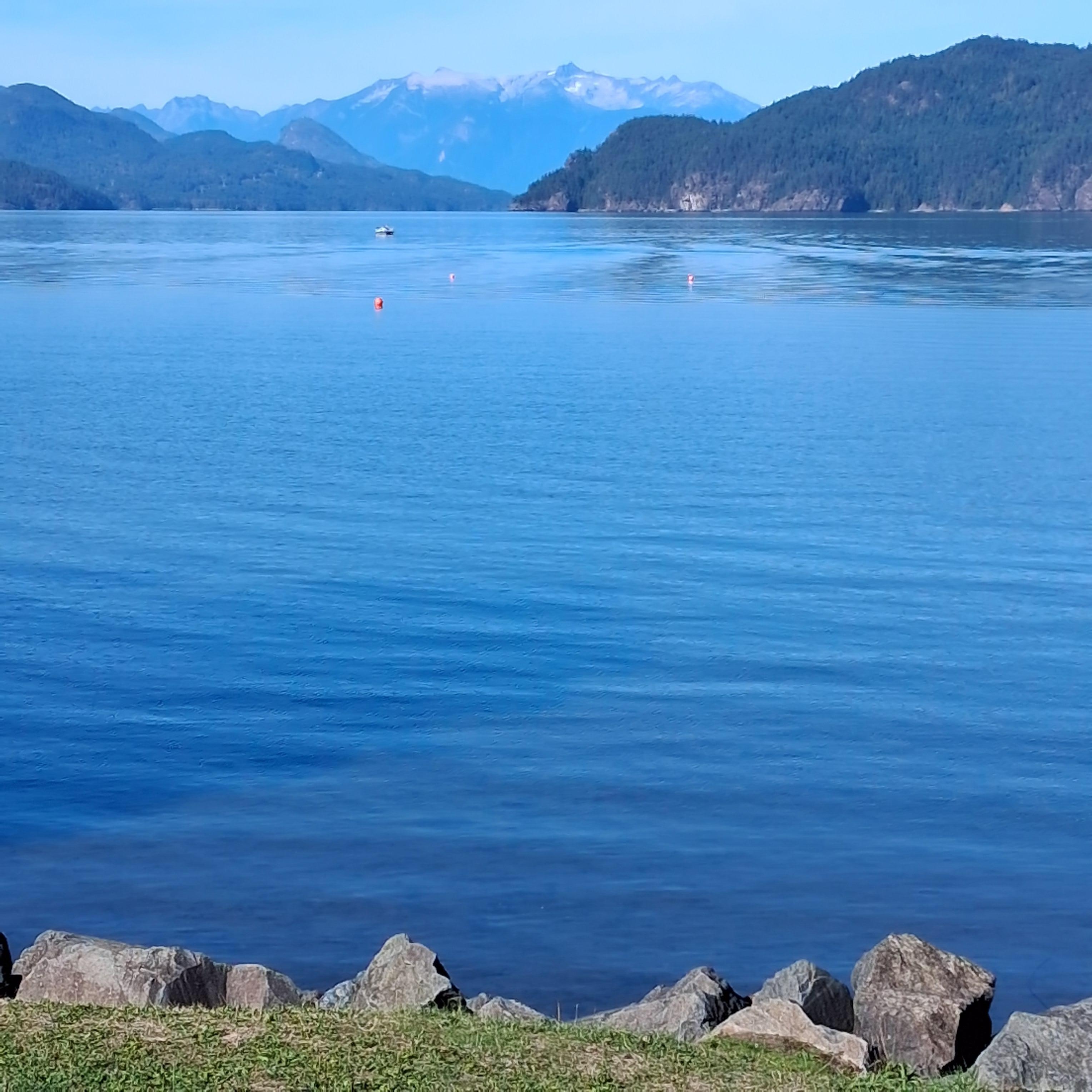 View from the window. 