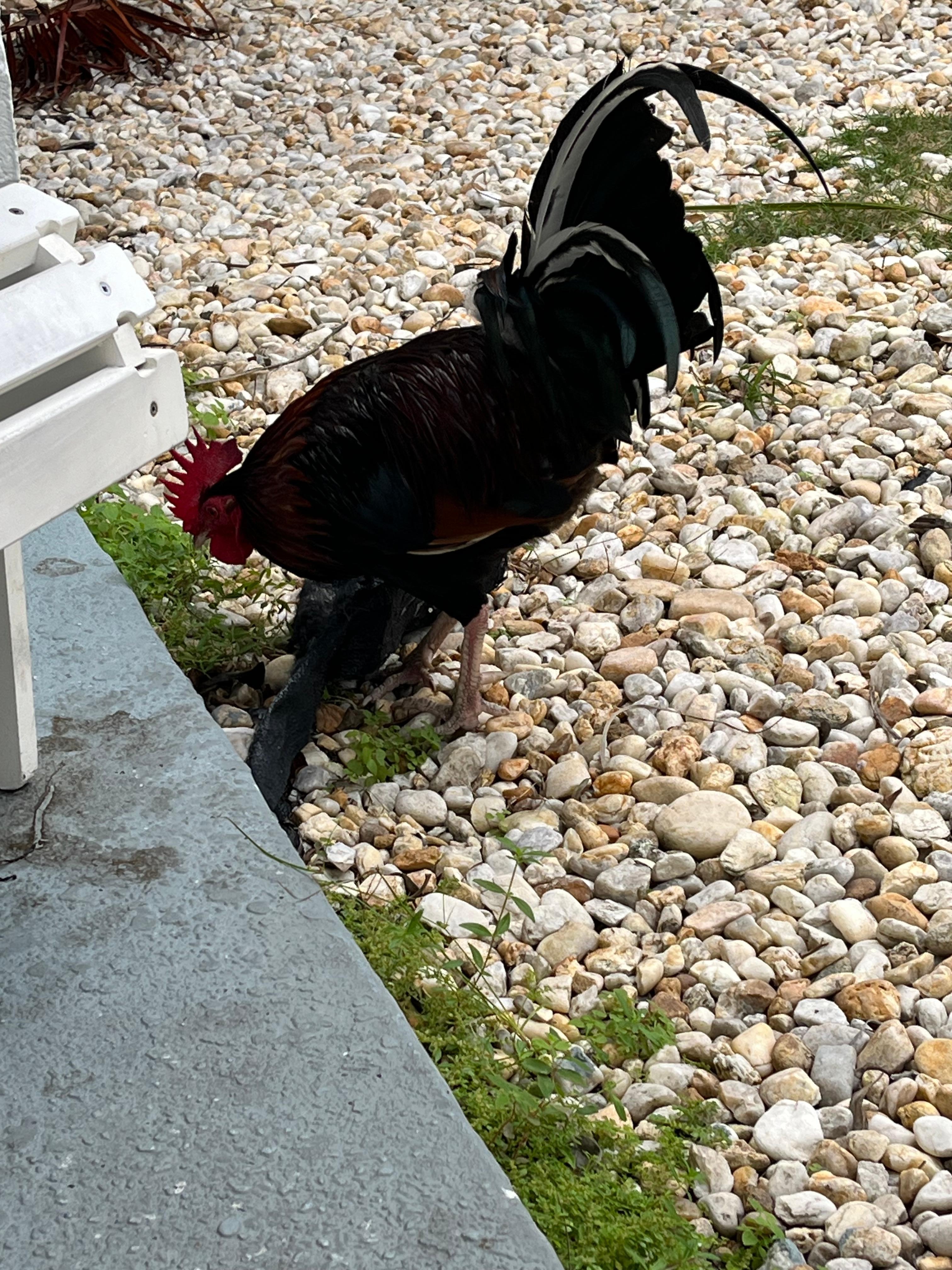 On our patio for a visit.