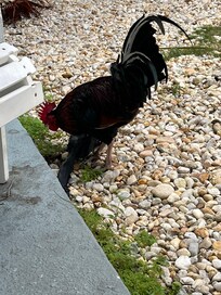 On our patio for a visit.