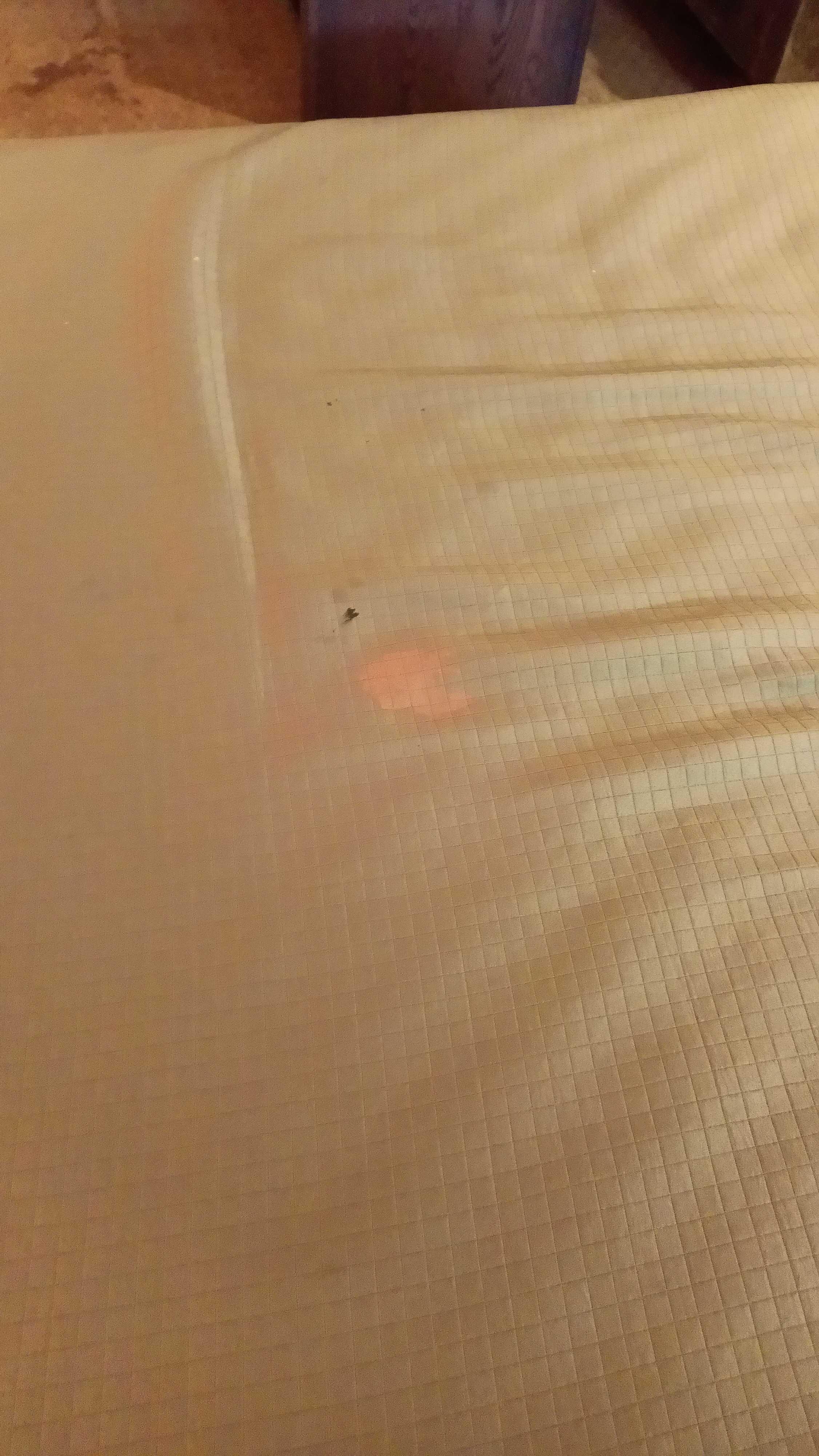 I'm going to assume these are old stains. I'm tired.