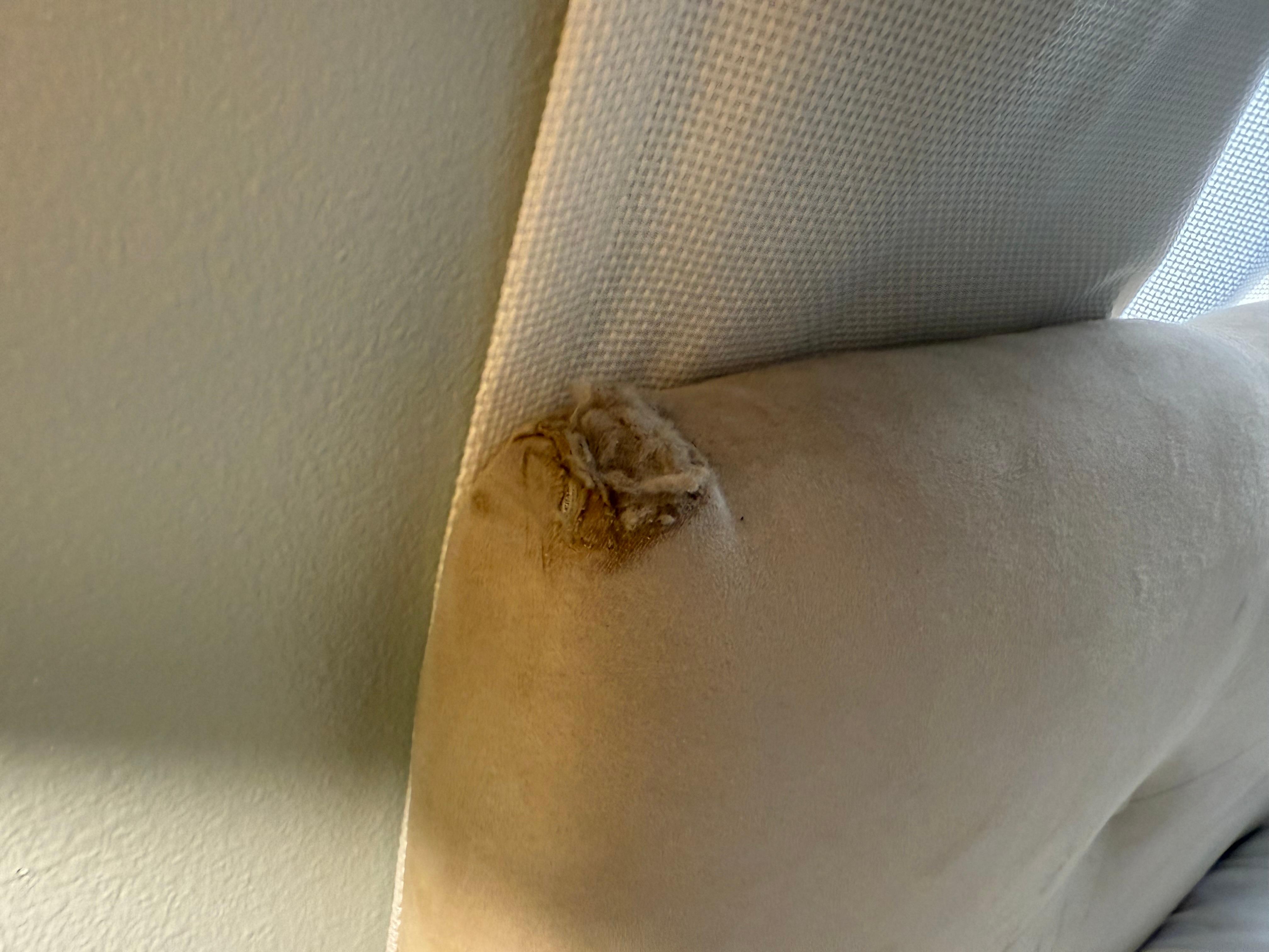 Broken bed frame 