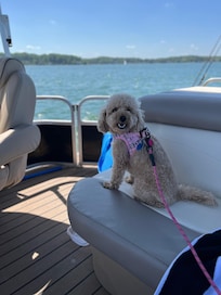 Lola's first pontoon ride.