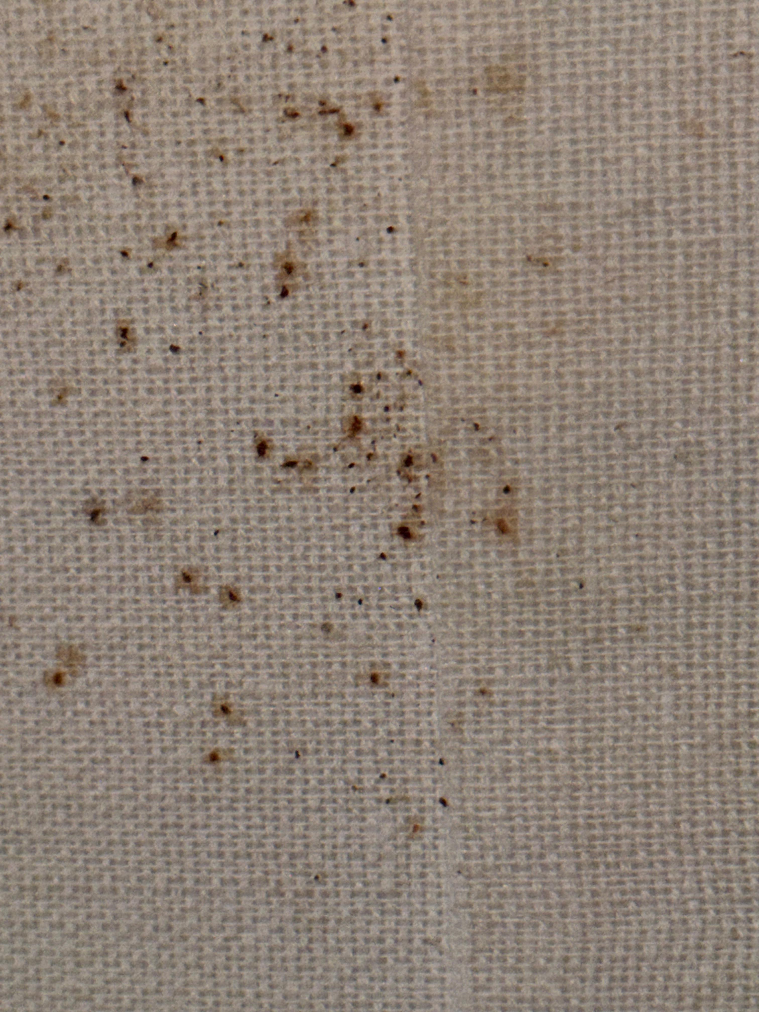 Blood splatter on lamp shade