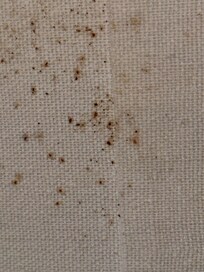 Blood splatter on lamp shade