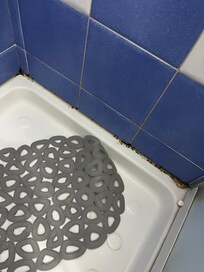 mold on shower. floor dirty. Also the shower is so small you cannot move inside.