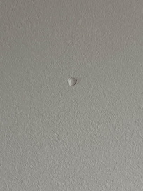 Hole in wall