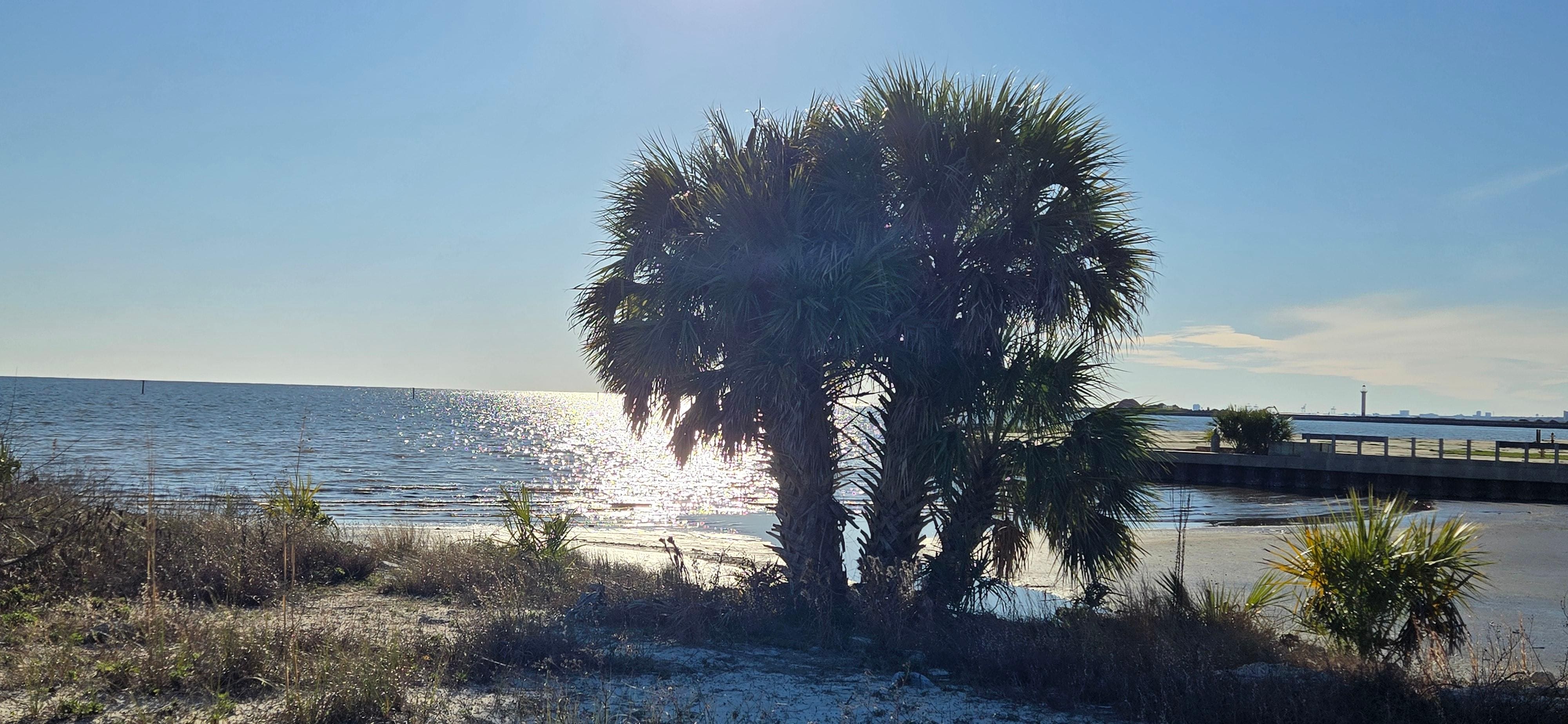 At the end of the West Boardwalk
