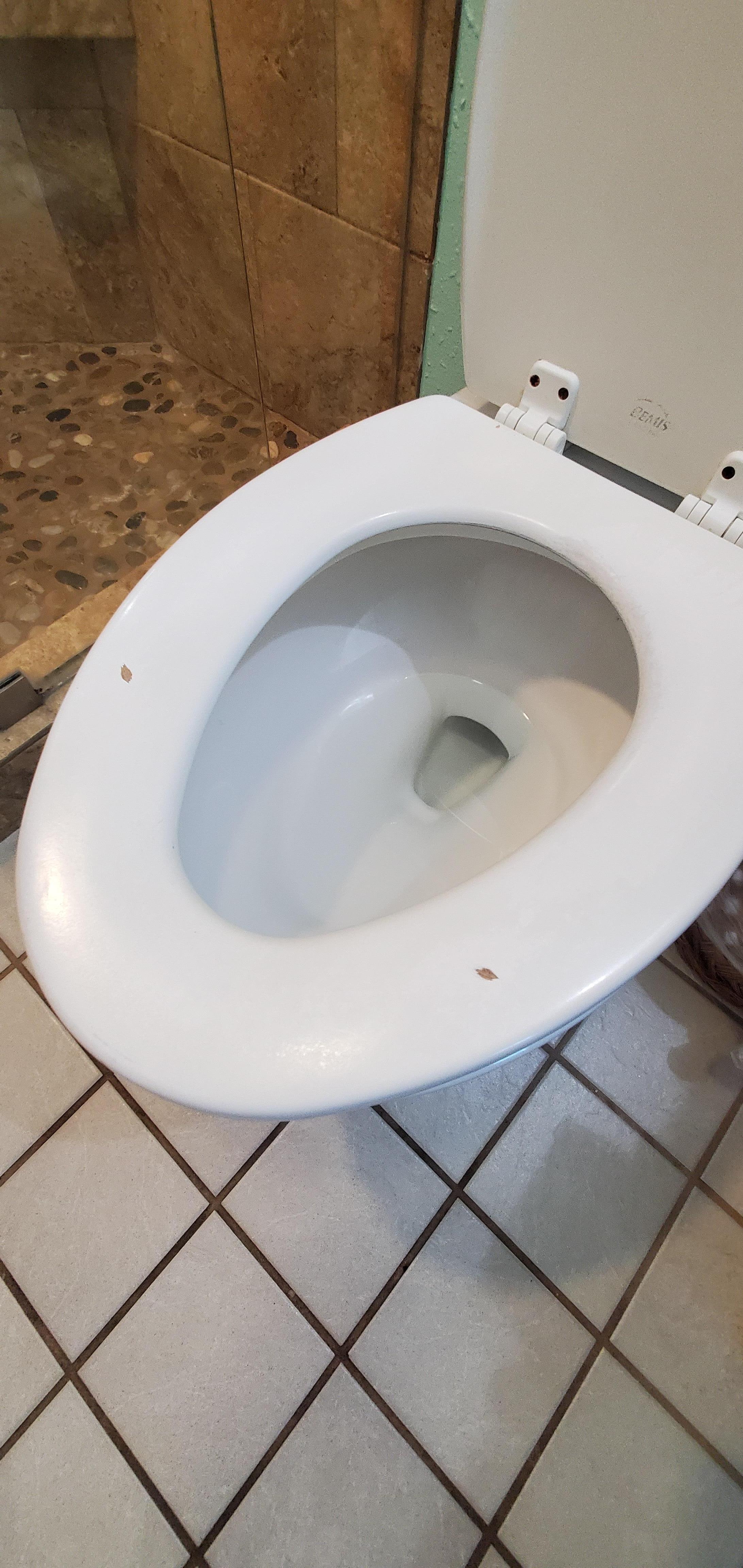 Worn toilet seat in the master bath. Can't tell if it's clean. 