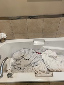 Dirty towels and bedding in the master bedroom bath tub