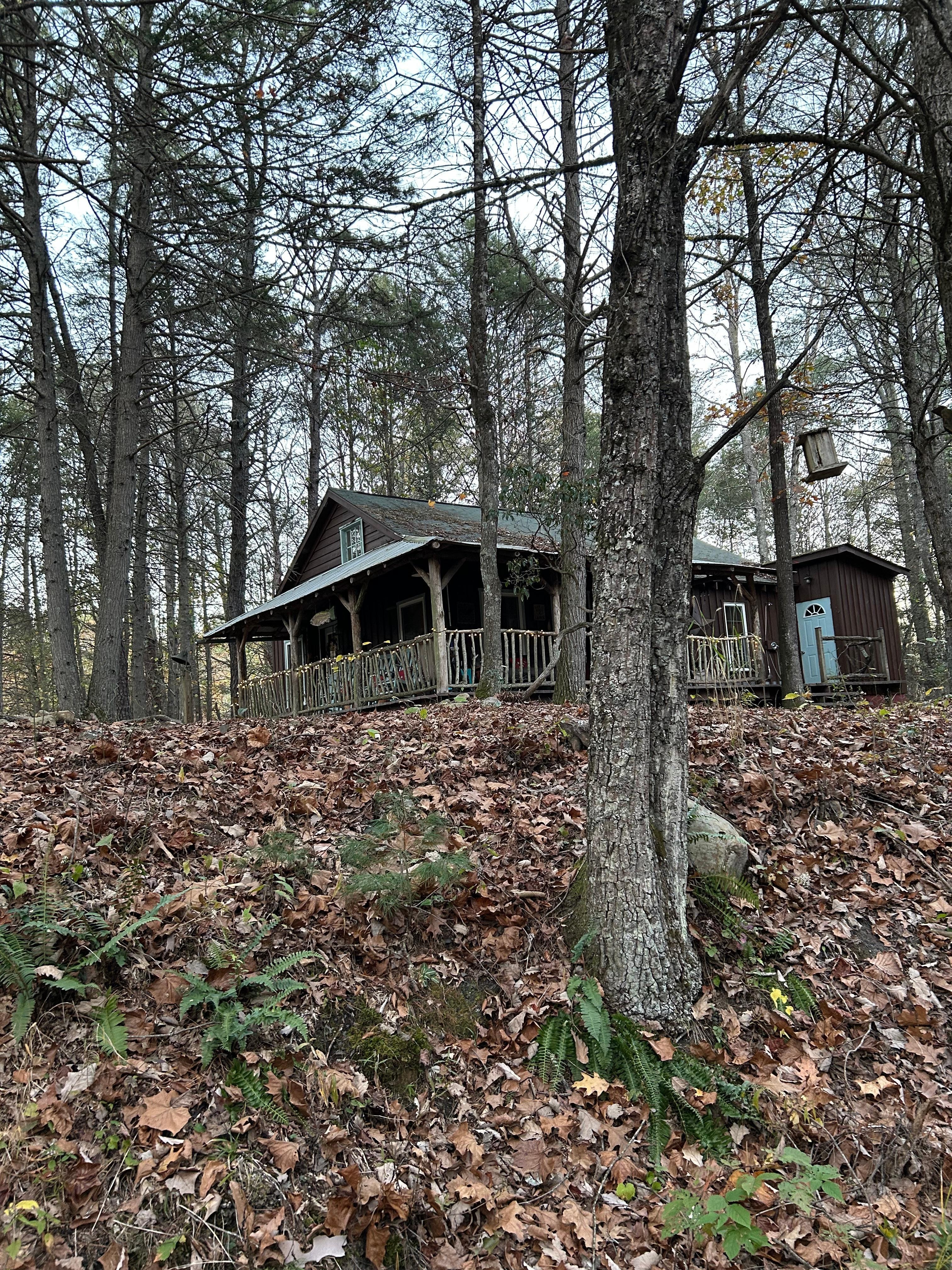 The cabin as seen by the stream