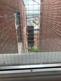 View from my room
