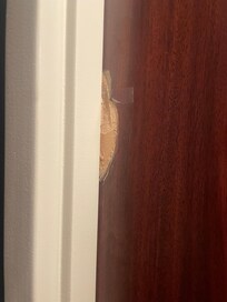 Chunk of wood missing on entry door