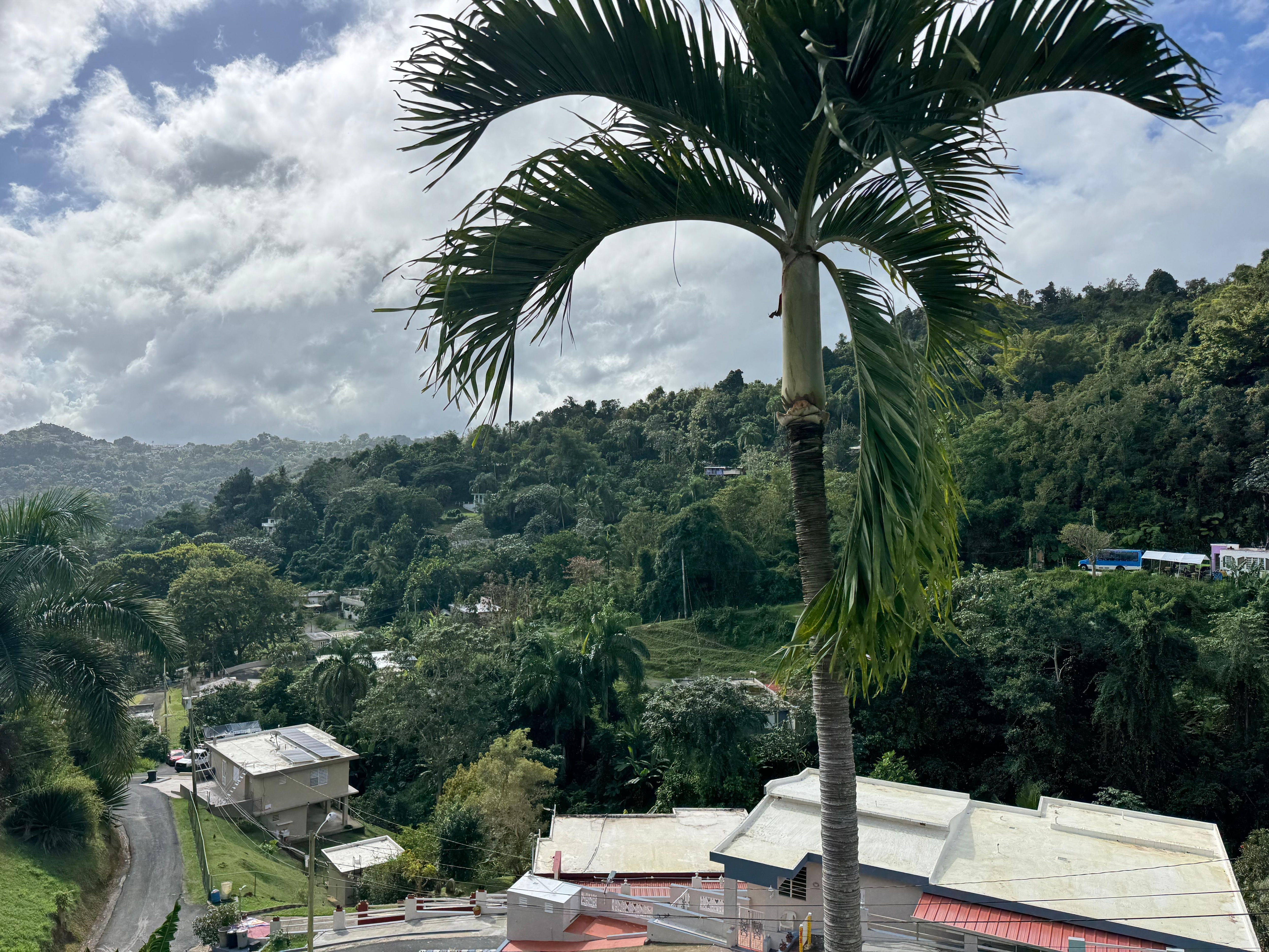 Right from the house