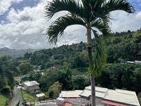 Right from the house