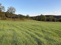 Open spaces