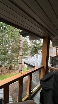 Nice spot tucked away in the trees! Very calm and quiet compared to what's going on just on the other side of the building!