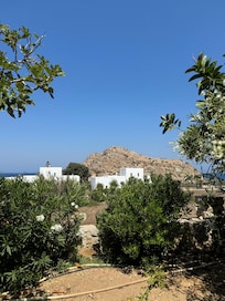 View from the room (ground floor)