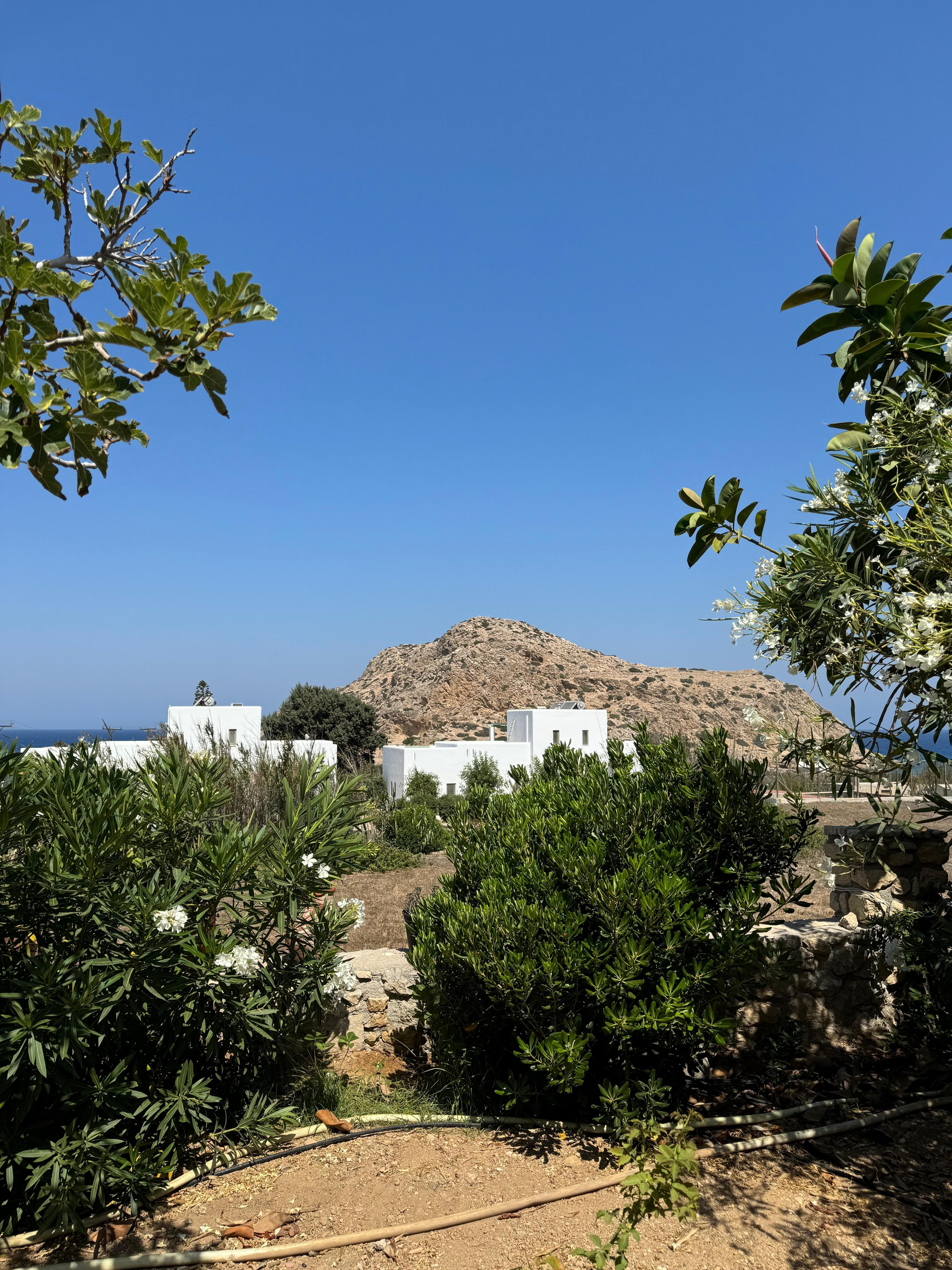 View from the room (ground floor)