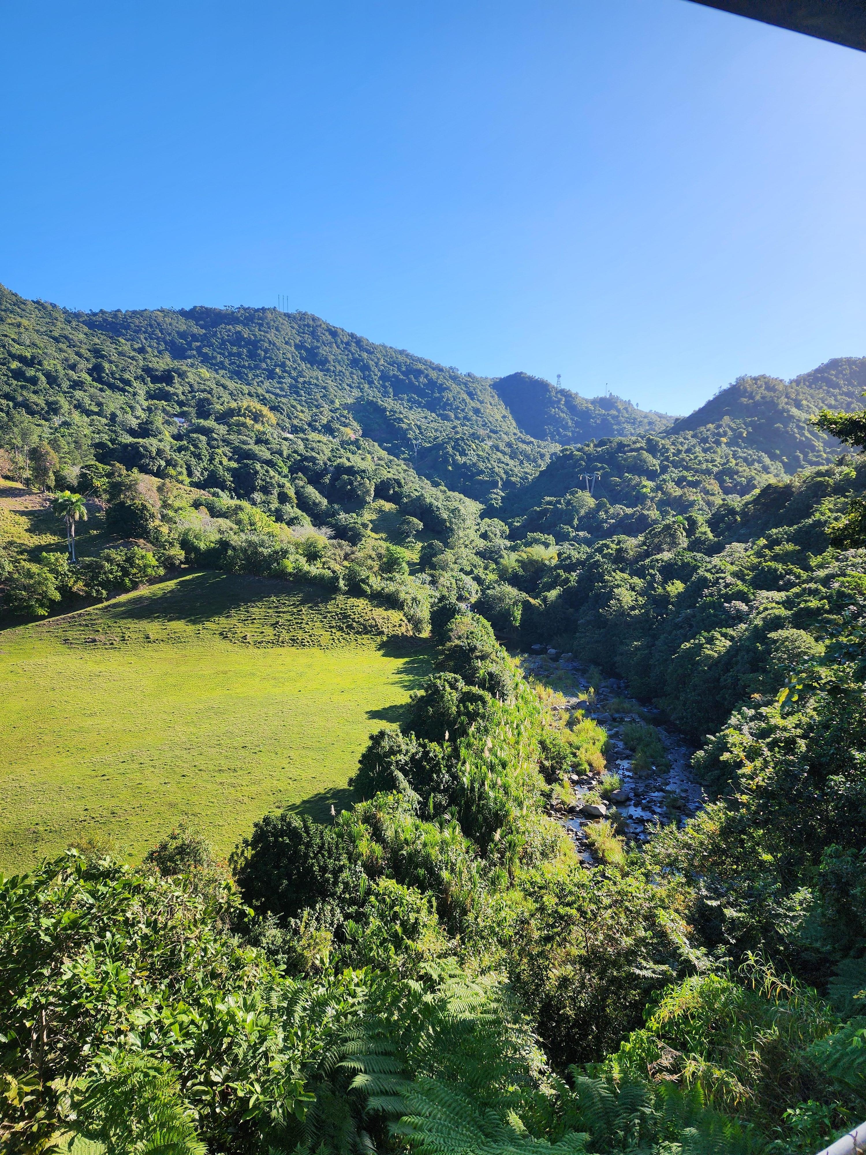 The view off the balcony