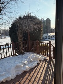 View out of the front door