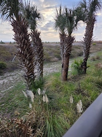 View from the balcony