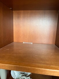 A Qtip and dust on the shelf.