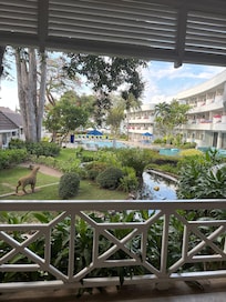 View from the reception area.