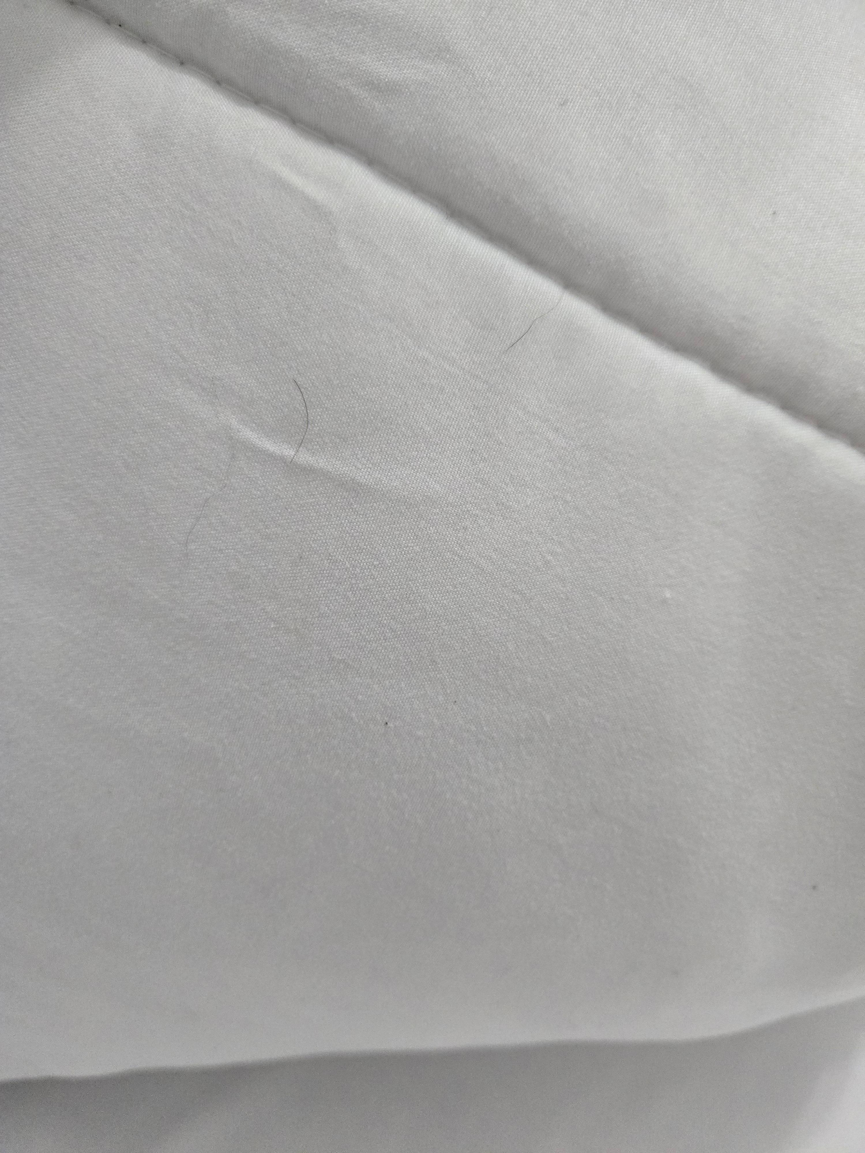 Hair in the bed upon arrival