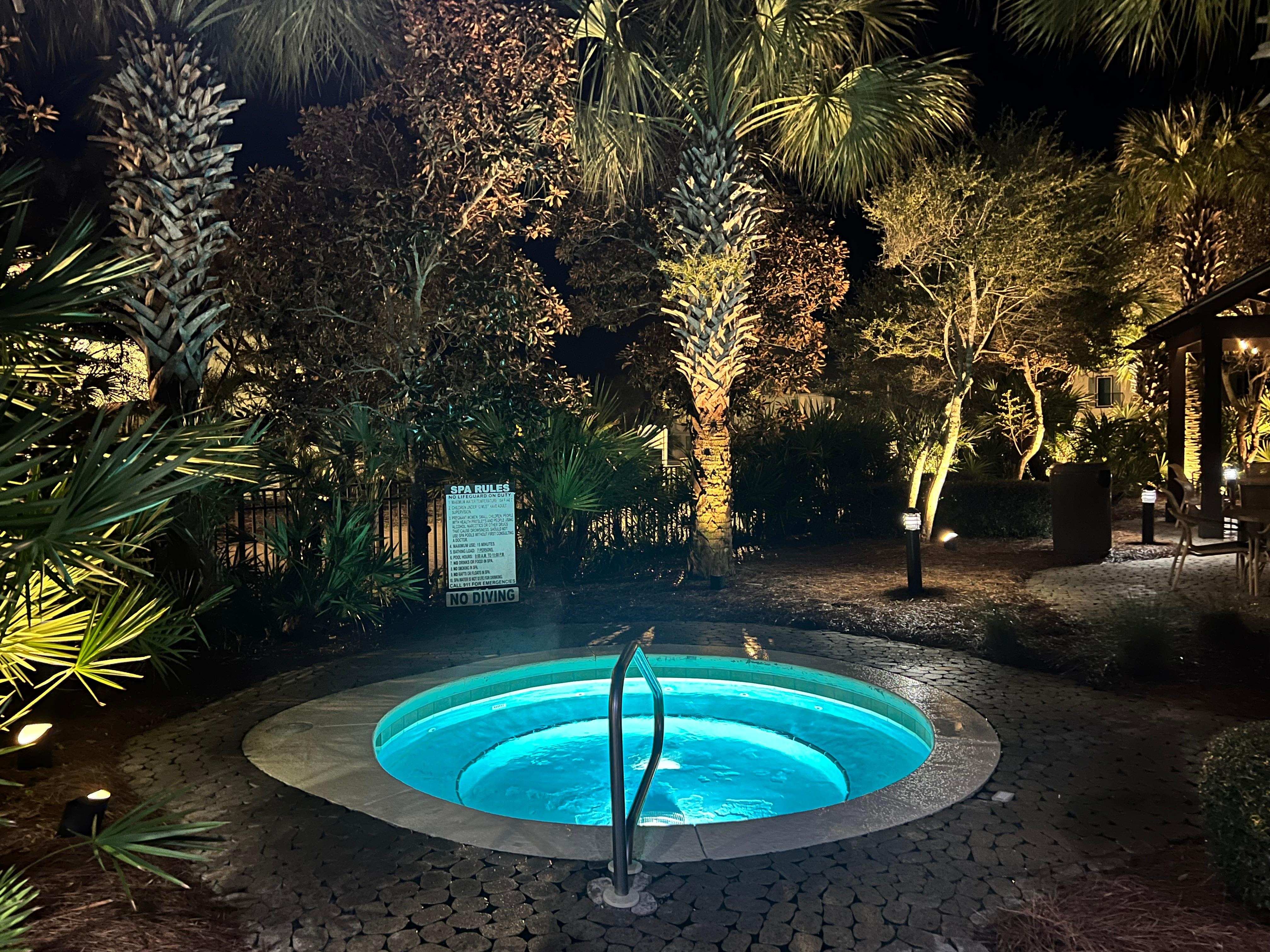 The palm trees made the pool area so much more enjoyable.