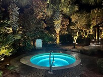 The palm trees made the pool area so much more enjoyable.