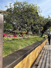 Garden by hotel