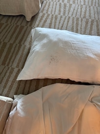 Moldy pillow and stained sheet