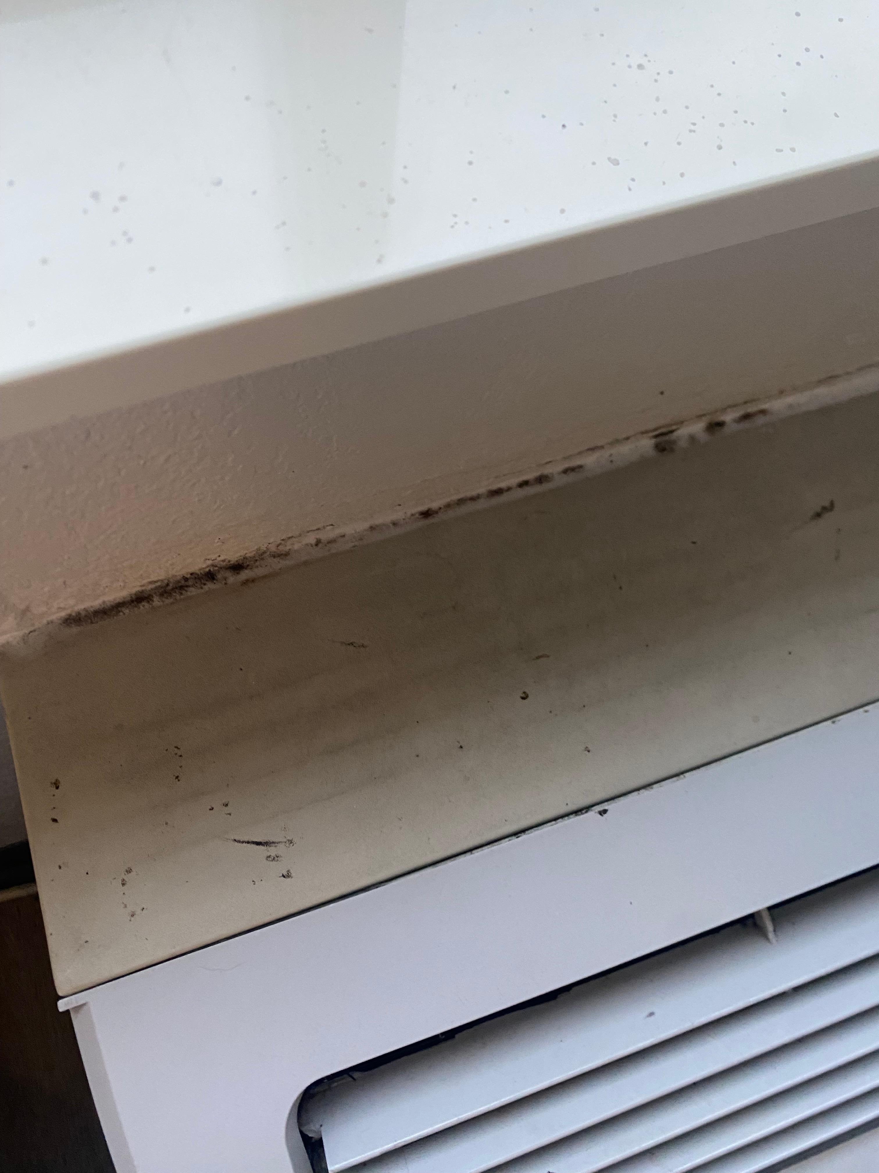 Mold on the AC unit