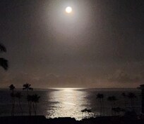 Moon setting just before sunrise.