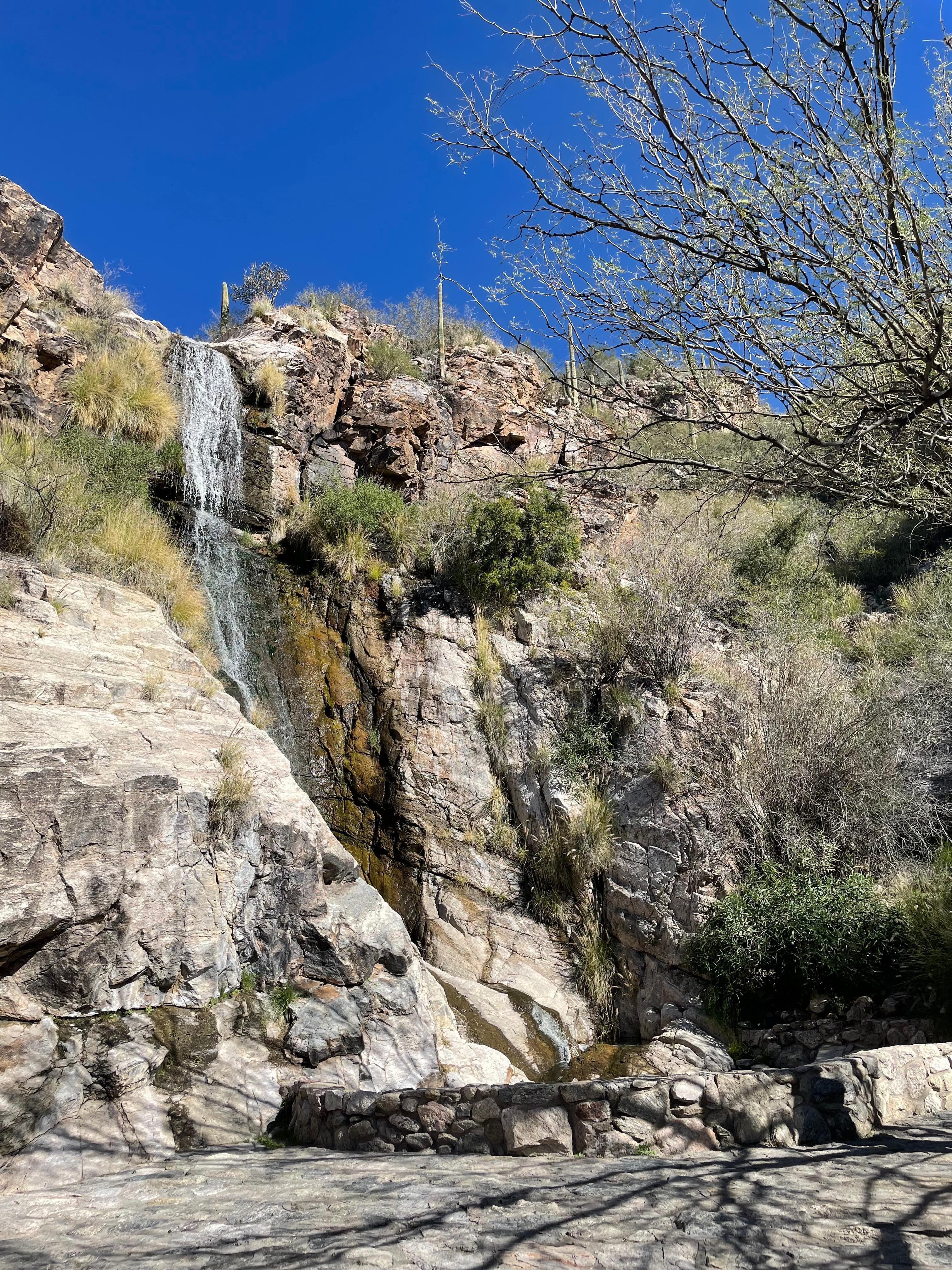 This was on the trail at the property. 