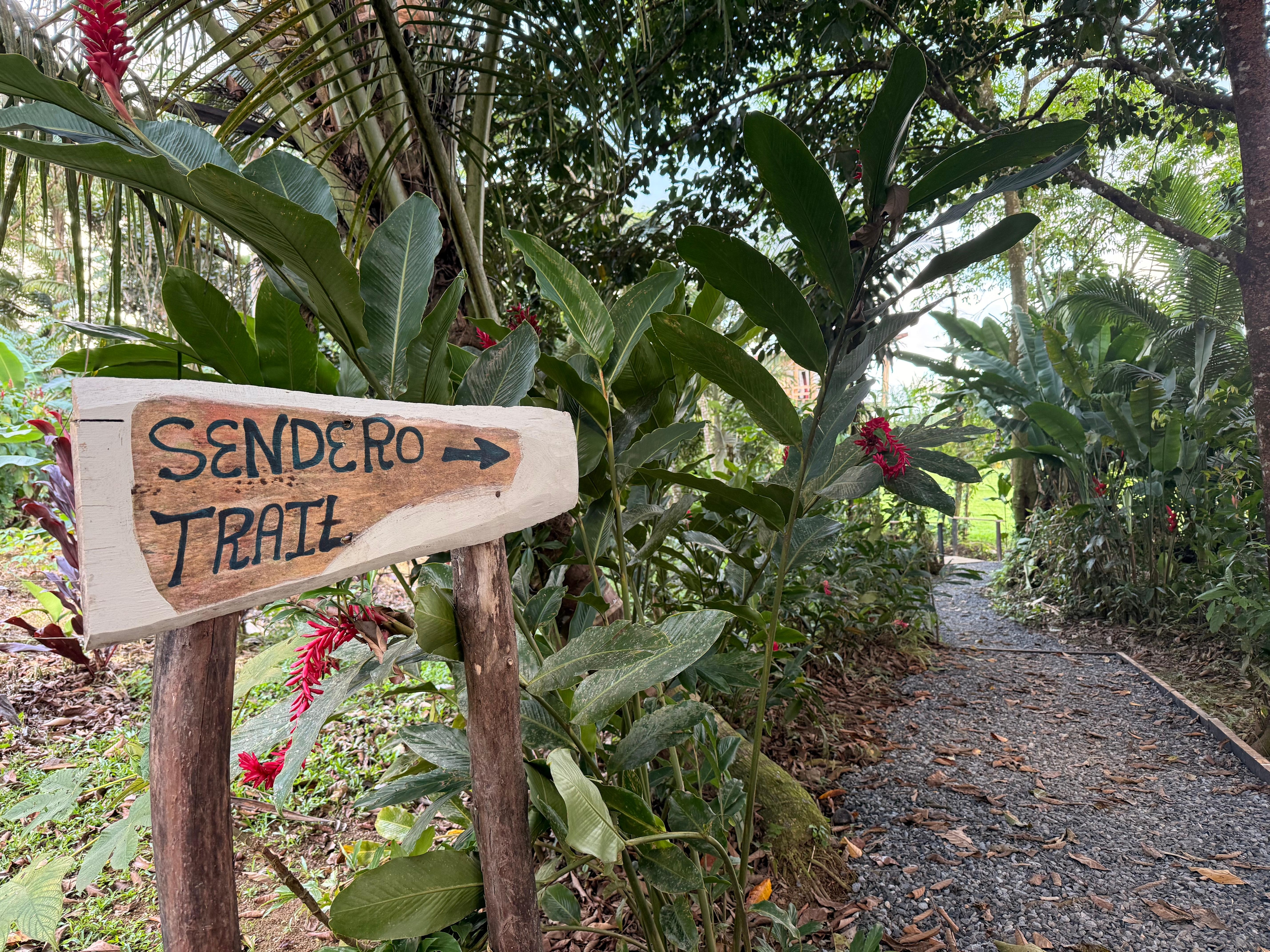 Make sure you take time to walk at the back of the property to see some really cool flora and fauna. 