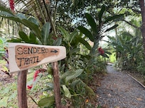 Make sure you take time to walk at the back of the property to see some really cool flora and fauna.