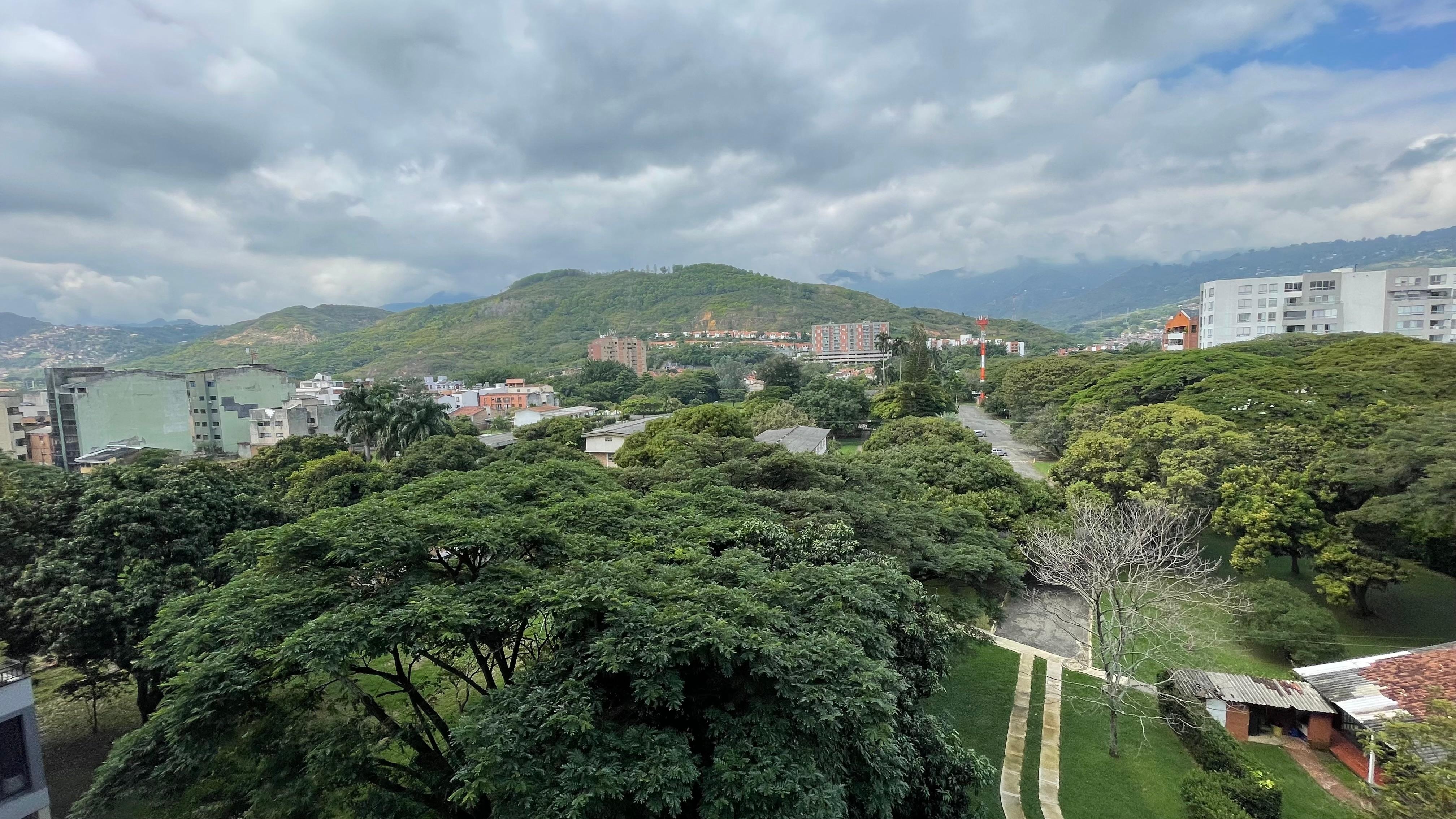 No me cansaba de mirar por la ventana 
