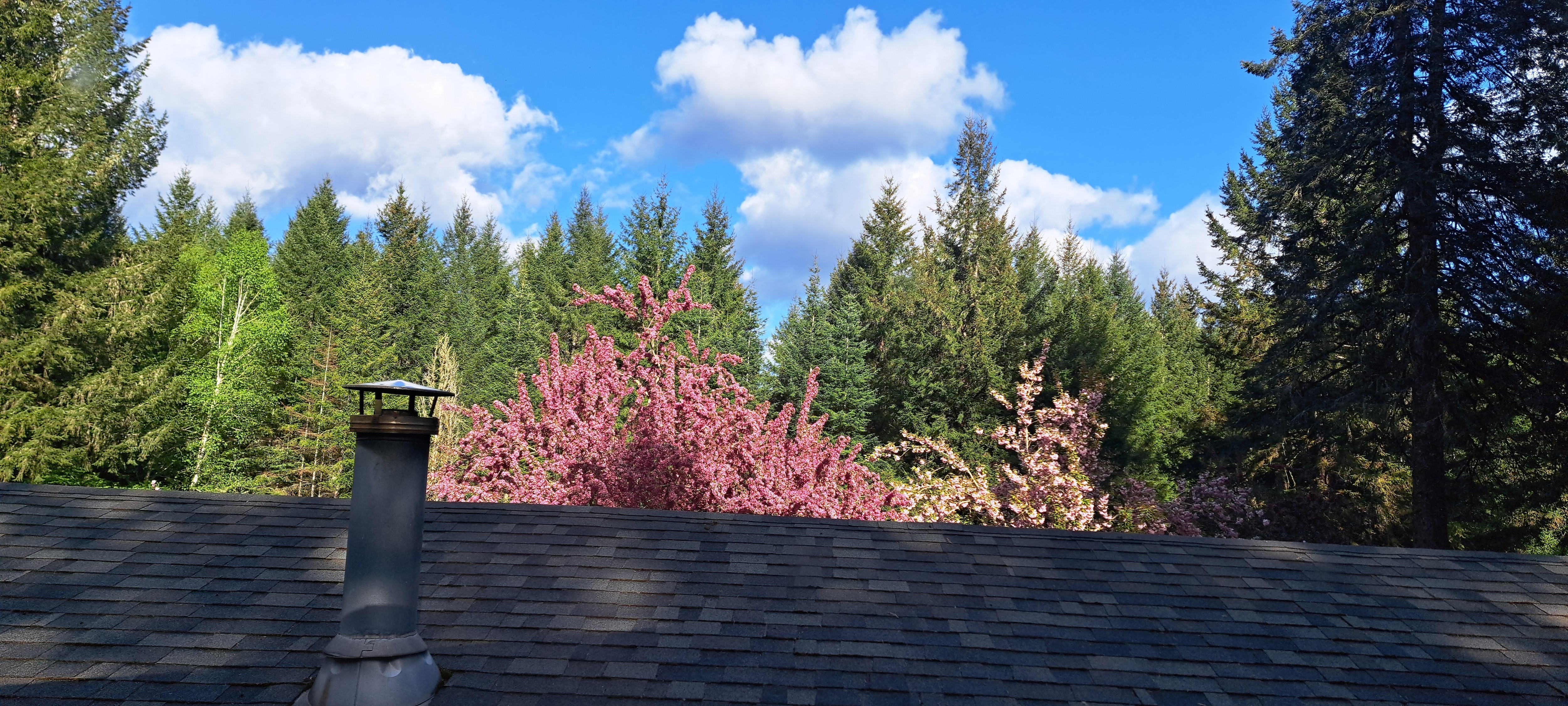 View from the window.
