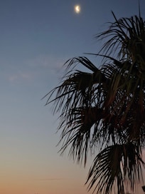 From the back door
