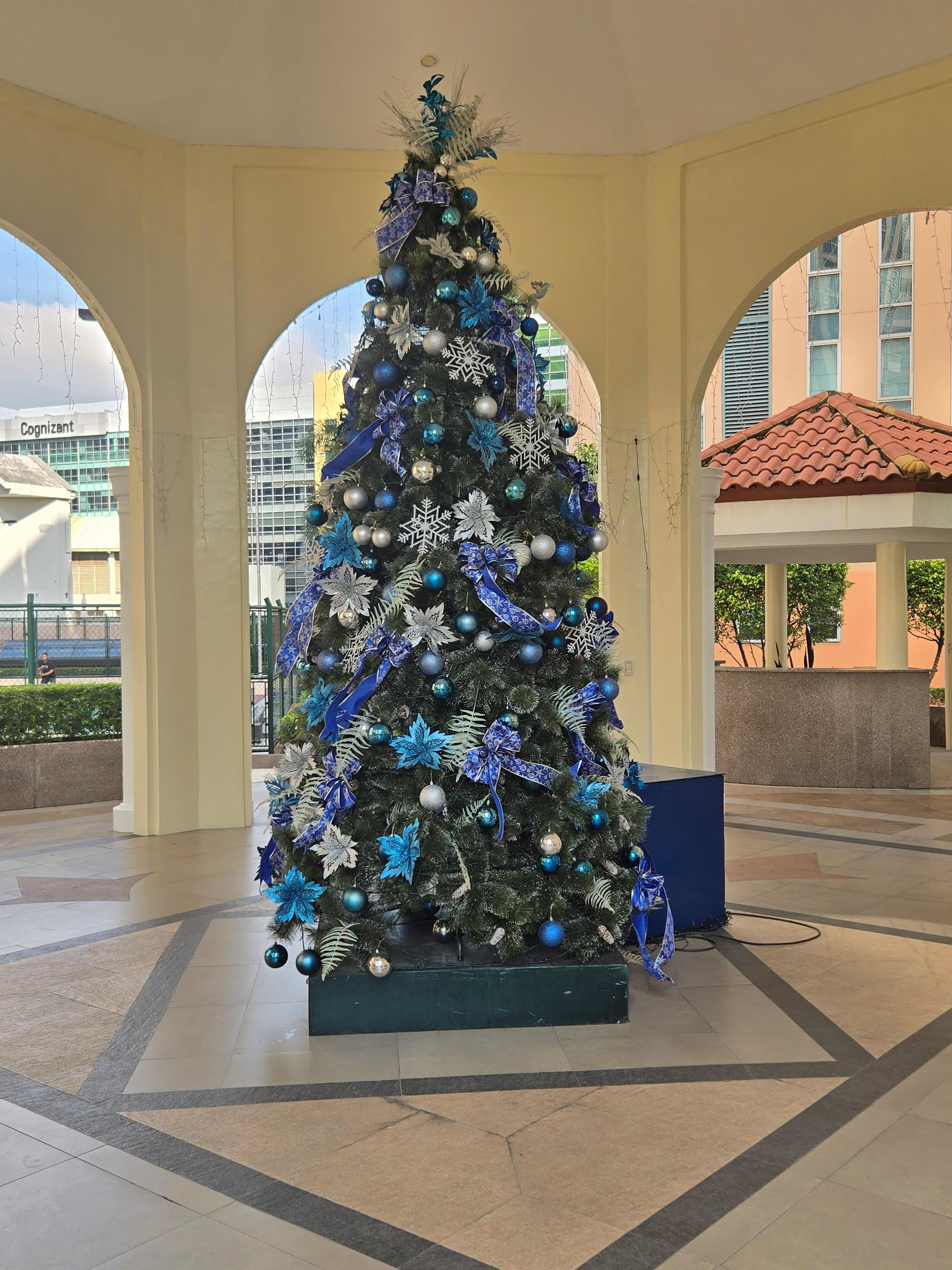 Beautiful tree between the pool and basketball court.