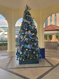 Beautiful tree between the pool and basketball court.